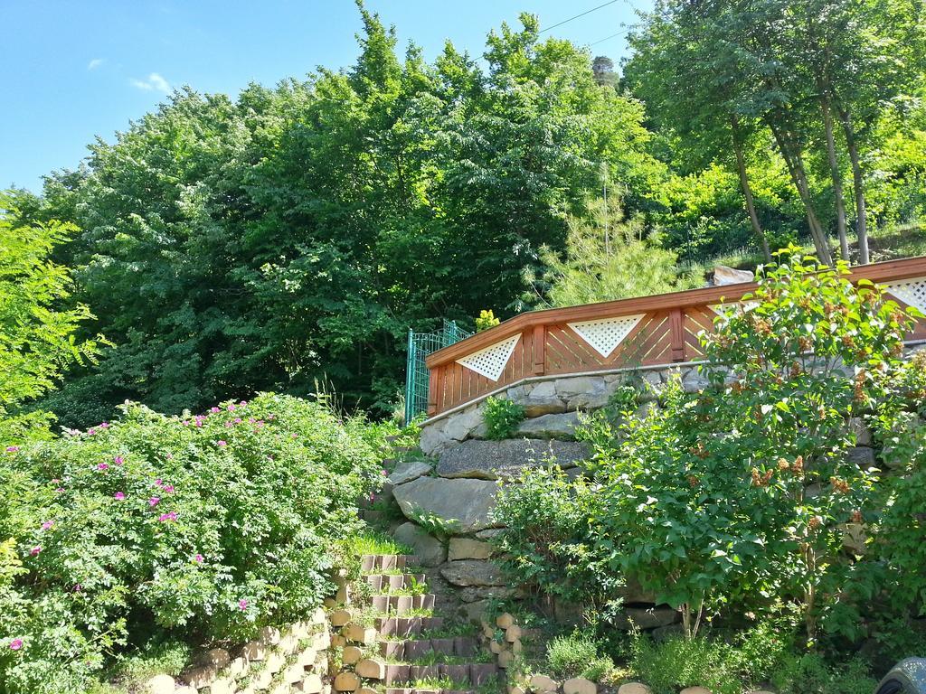 Gastehaus Zur Schonen Aussicht Bed and Breakfast Spitz an der Donau Exteriör bild